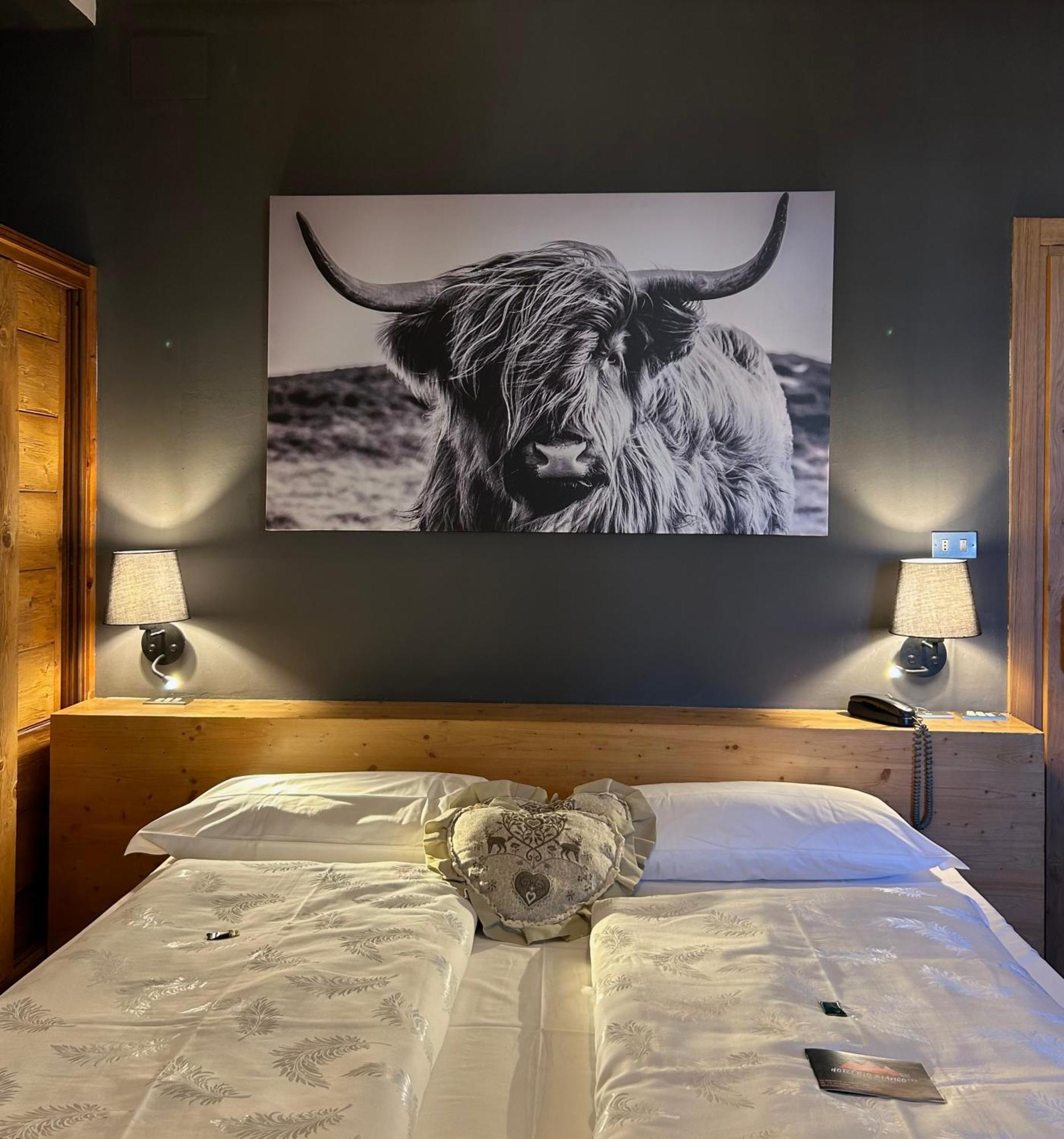 Hotel Rio Bianco Panchia Dış mekan fotoğraf